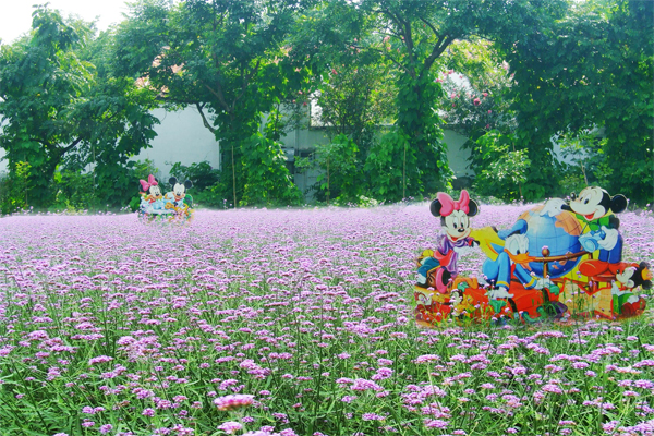 广州花都香草世界拓展训练基地